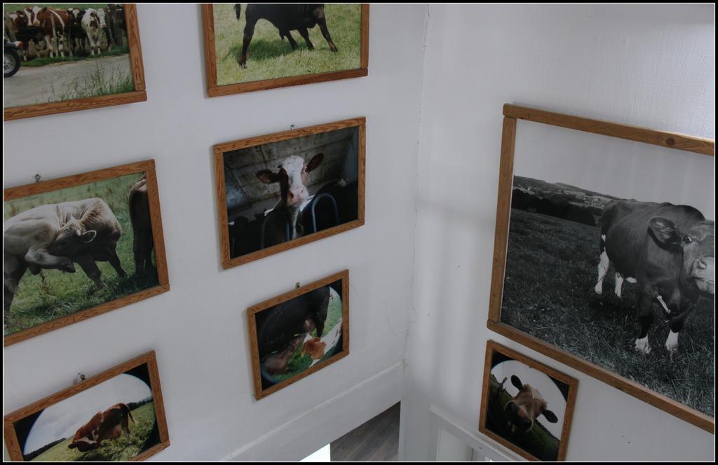 Hotel Artfarm Wiehl Dış mekan fotoğraf